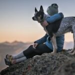 Are Dogs Capable of Forgiveness? Emotional Intelligence in Canines