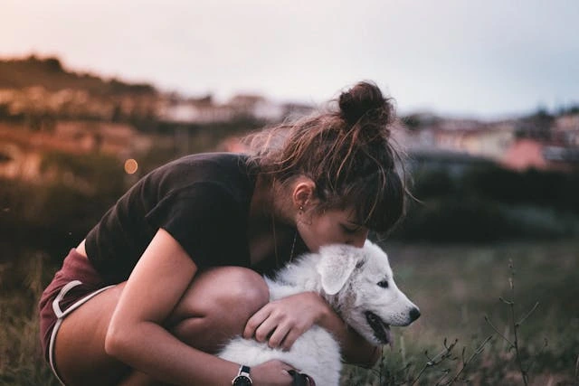 Building Emotional Trust Between You and Your Dog