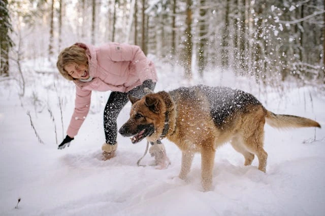 How Your Mood Affects Your Dog’s Emotional State