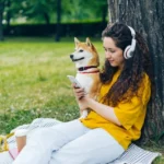 Can Dogs Hear Music?