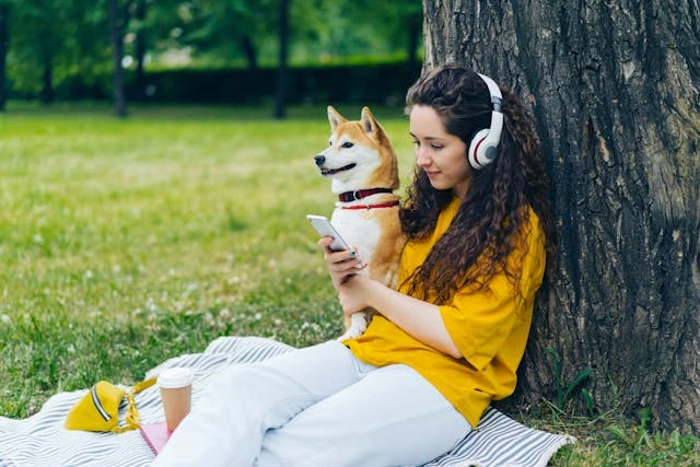 Can Dogs Hear Music?