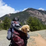 A person carrying a dog in a backpack